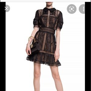 Authentic Self Portrait Fine lace Dress